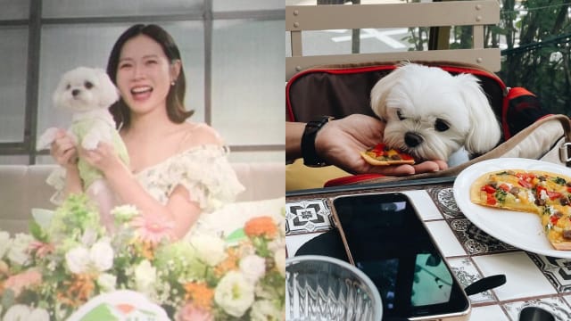 孙艺真晒丰盛养胎餐　低调露一手放闪