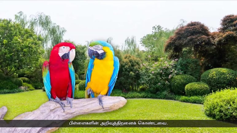 "கிளி வளர்ப்பது எளிதா? இல்லவே இல்லை"