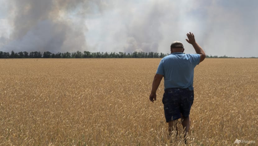 Commentary: 'Weaponising' food amid Ukraine war might be Putin’s real trump card Commentary: 'Weaponising' food amid Ukraine war might be Putin’s real trump card