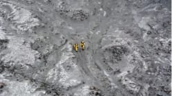 Related article image