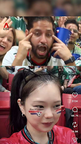 Man apologises for racist gesture at World Cup match