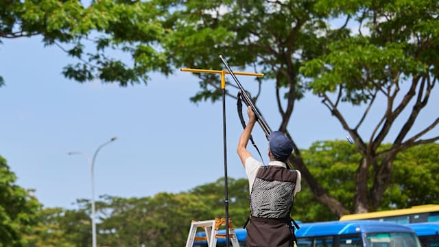 射杀乌鸦行动正式展开 未来数周在九个地区进行