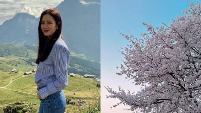 带儿子赏樱？孙艺真晒樱花美照曝当妈忧虑