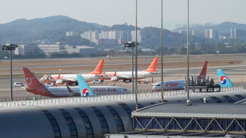 Korea Selatan arah semua lapangan terbang pasang kamera pengesan burung, radar Korea Selatan arah semua lapangan terbang pasang kamera pengesan burung, radar