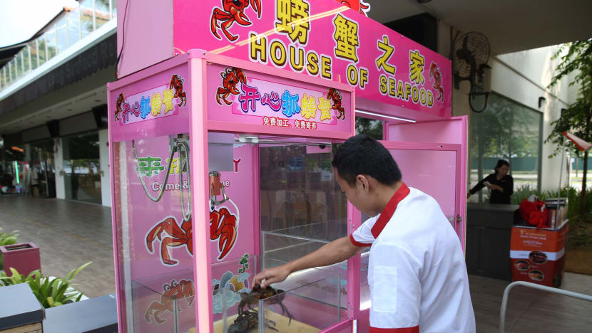Claw machine with live crabs draws ire, but restaurant says it was designed to cause minimal harm