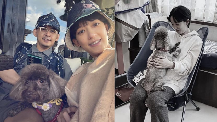 mickey-huang-summer-meng-pet-dog