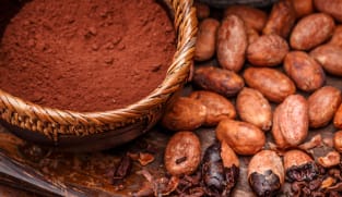 சாக்லேட் செய்வதற்கு மட்டும் கொக்கோ  பயன்படுத்தப்படுகிறதா? 