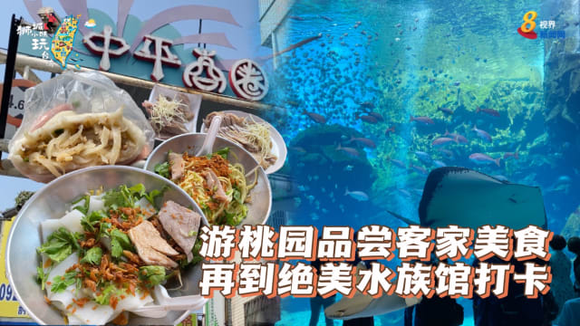 游桃园品尝客家美食 再到绝美水族馆打卡