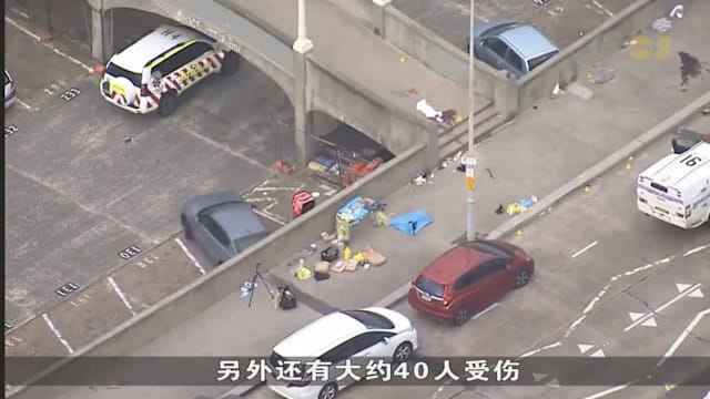 邦迪海滩枪击案嫌犯是一对父子