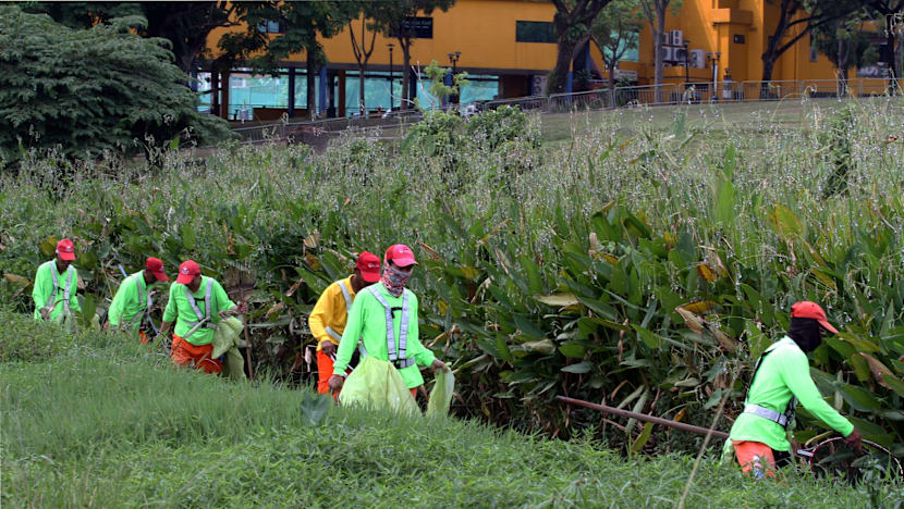 Mass fish deaths at Bishan-Ang Mo Kio Park