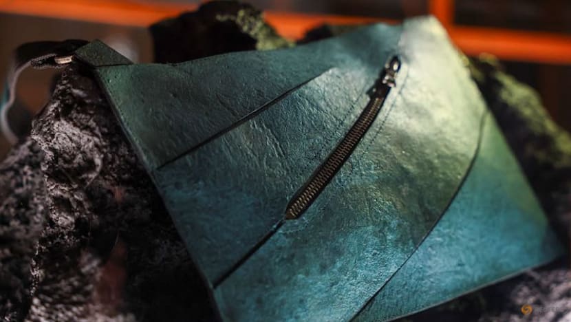 Dinosaur collagen used to create one-of-a-kind handbag