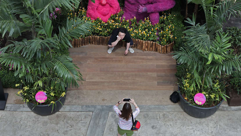 Giant ‘SingaPop’ floral displays, free shows at Gardens by the Bay in August