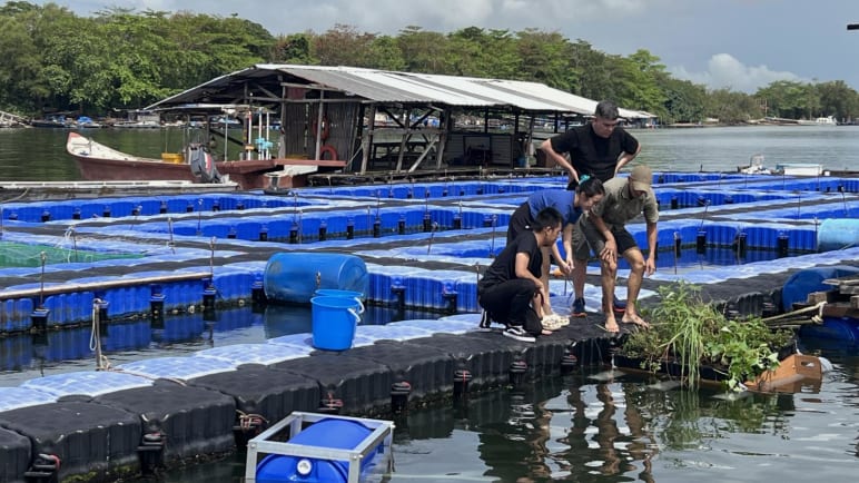 Growing Wild - Project Castaway: All About Aquaculture