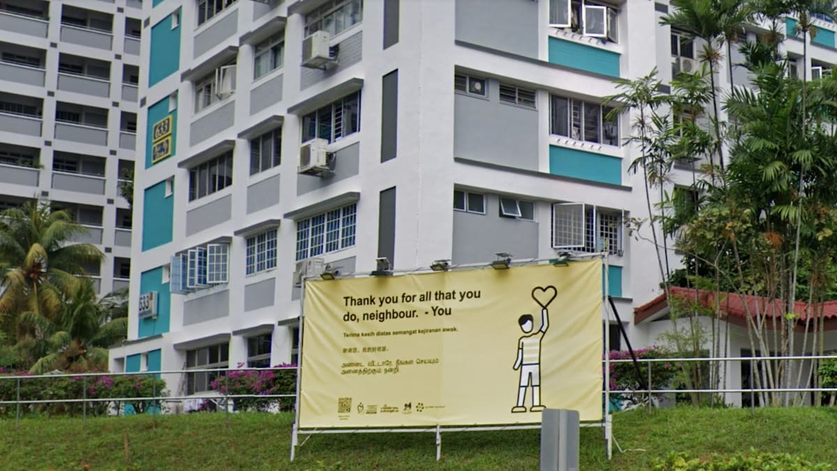 Man who sued neighbour for battery, assault and harassment loses suit, must pay S,000 in costs