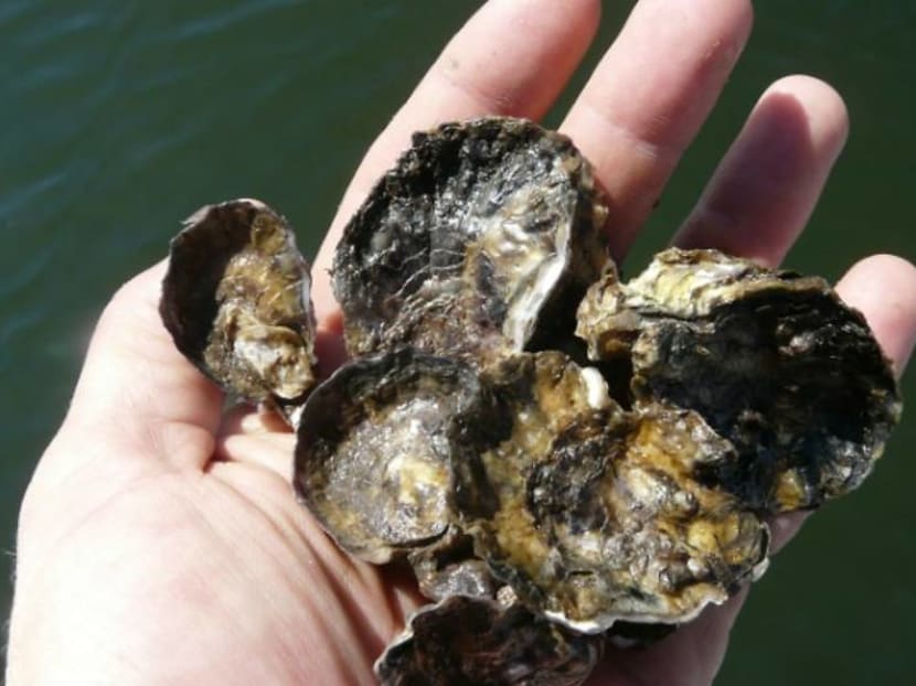 Commentary: The ocean is changing – it’s getting more acidic