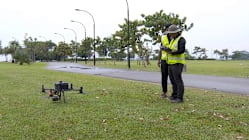 Related article image