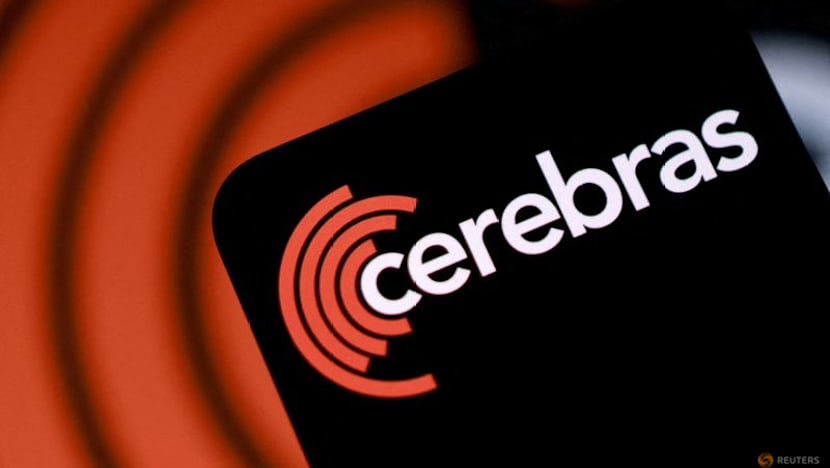 Cerebras slumps as mixed quarterly results test AI growth narrative