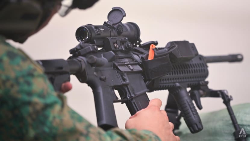 Cyclist shot near SAF range: How far do Singapore military rounds travel?