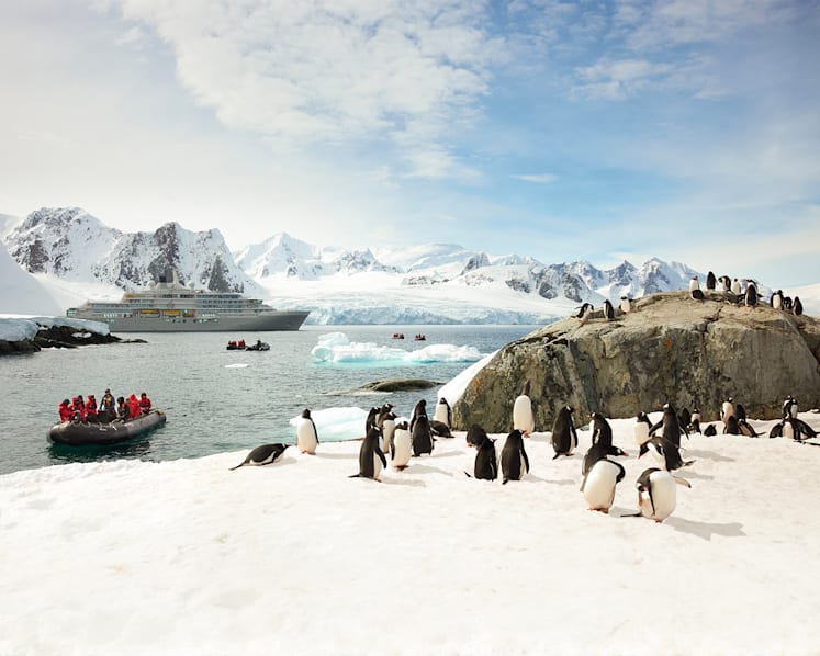 Journey to the ends of the Earth: Silversea unveils new ice-class vessel for an unforgettable polar expedition