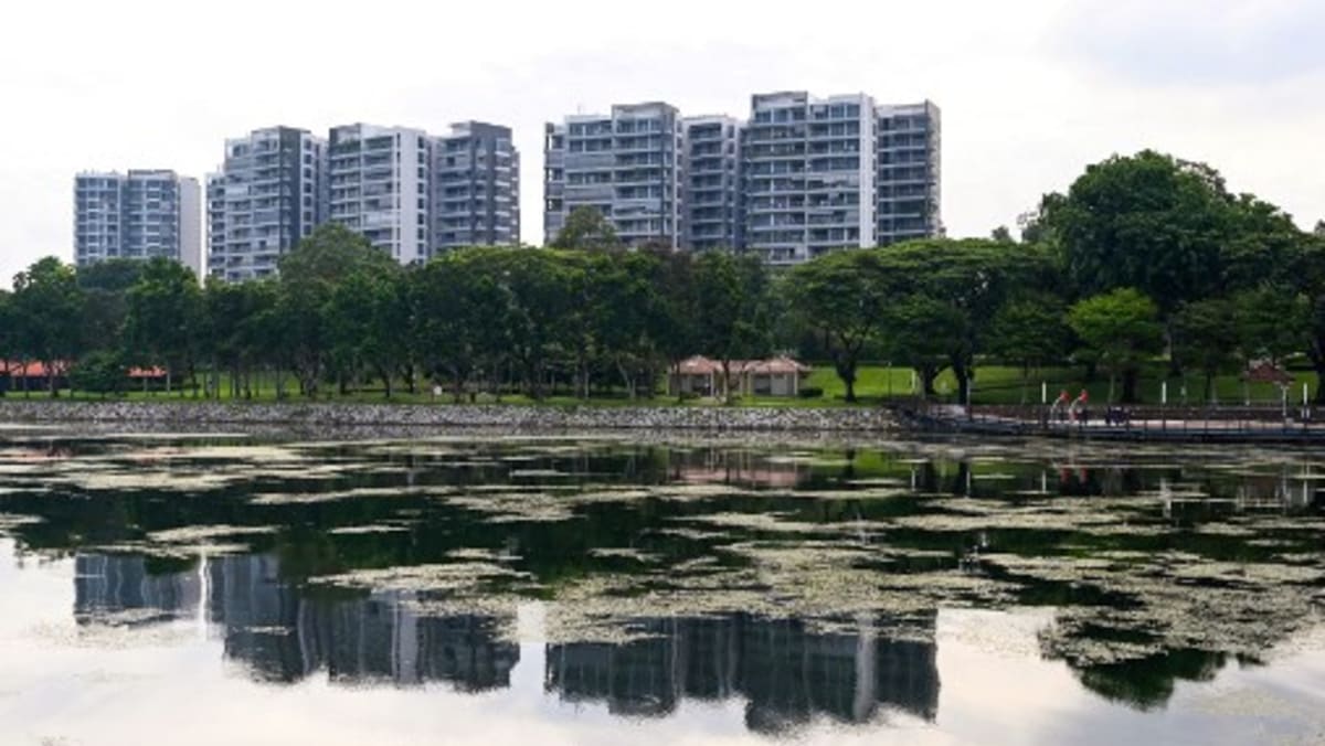 www.channelnewsasia.com