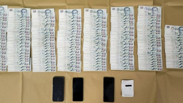 涉嫌用偷来的信用卡信息买手机后套现 一对男女被控