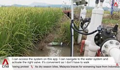 Extreme weather: How China is using technology to make crops more climate-resilient