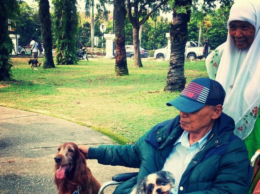 ‘I want to touch a dog’ event a big hit with Malaysian Muslims