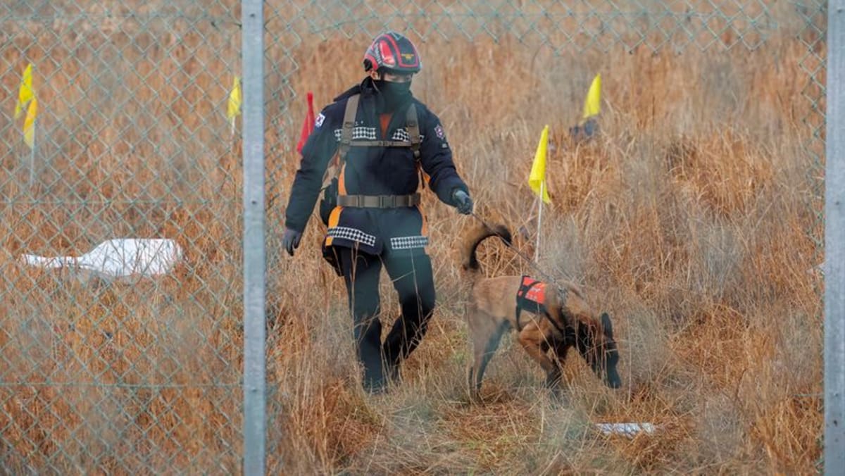 South Korea orders air safety probe after the country's worst crash kills 179