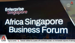 Singapore-based firms continuing to expand in Africa, expecting high returns