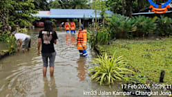 Related article image