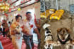 Chinese Couple Gets Married At Dog Shelter With Over 200 Dogs As Wedding Guests