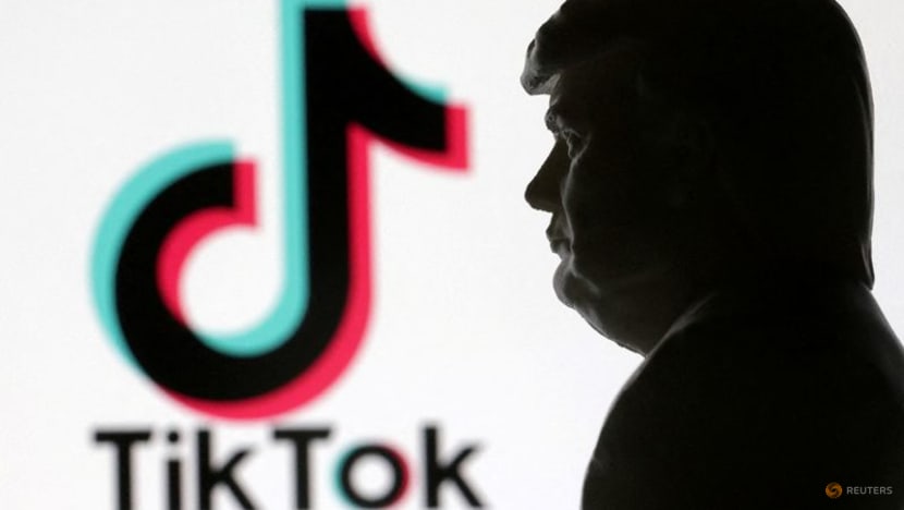 Commentary: TikTok would be wise not to embrace Donald Trump too fervently Commentary: TikTok would be wise not to embrace Donald Trump too fervently
