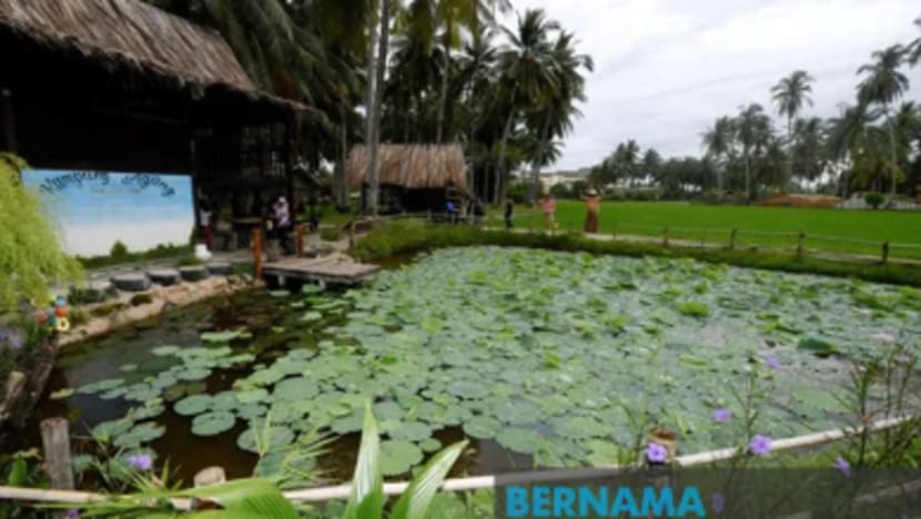 Kampung Agong lokasi ekopelancongan baru, suntik nostalgia kehidupan kampung Kampung Agong lokasi ekopelancongan baru, suntik nostalgia kehidupan kampung