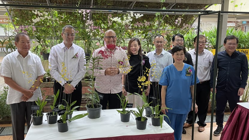 Darul Syifaa lancar projek kebun bunga anggerik; bersiap hadapi kadar penduduk menua yang meningkat Darul Syifaa lancar projek kebun bunga anggerik; bersiap hadapi kadar penduduk menua yang meningkat