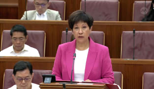 Indranee Rajah on Supply Bill