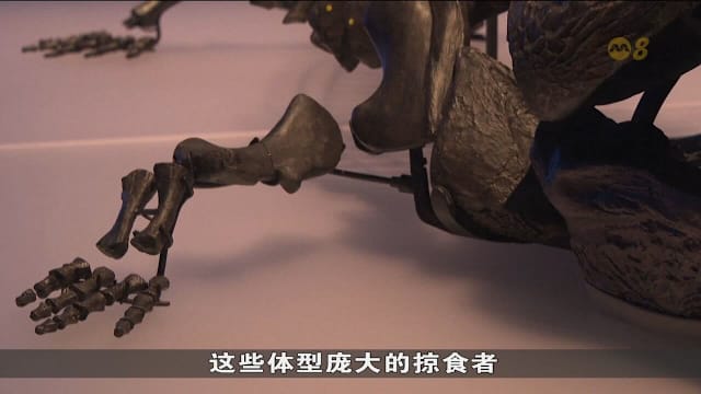 侏罗纪“海底霸王”现身伦敦展览 揭秘2亿年前深海世界