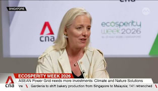 Power grid investment needs clearer rules to attract capital: McKenna