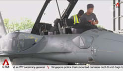 RSAF's 145 Squadron clinches Best Fighter Squadron for fifth time 