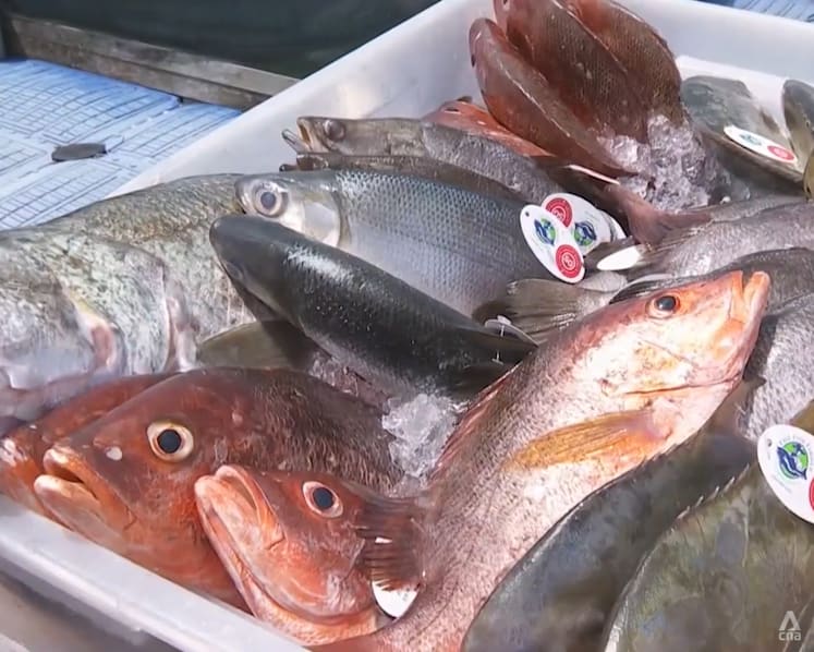 Deeper understanding of Singapore's local context needed in aquaculture push