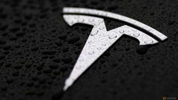 Tesla's 'Robotaxi' trademark refused for being too generic, TechCrunch reports - Channel News Asia (Picture 2)