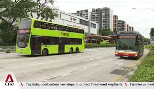 Making roads safer for all: AI-powered system, more rest time for drivers expected to improve safety