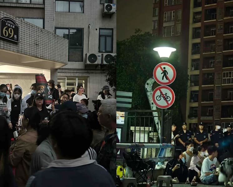 Rare protests erupt in China after dog abuse videos spark online anger