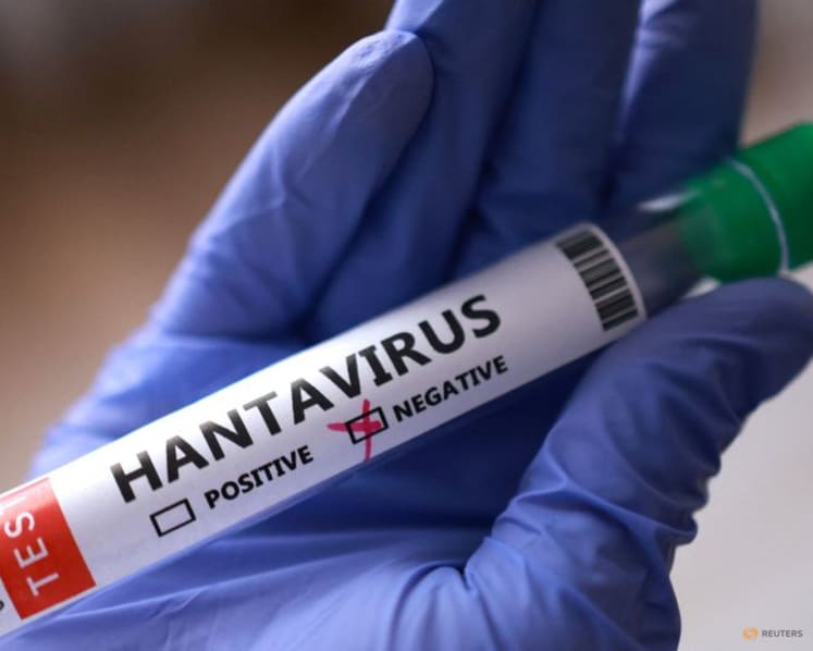 Tests in Italy, Spain come back negative in global hunt for hantavirus