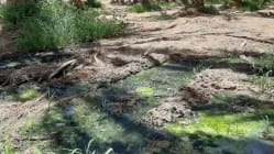 Related article image