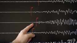 Related article image