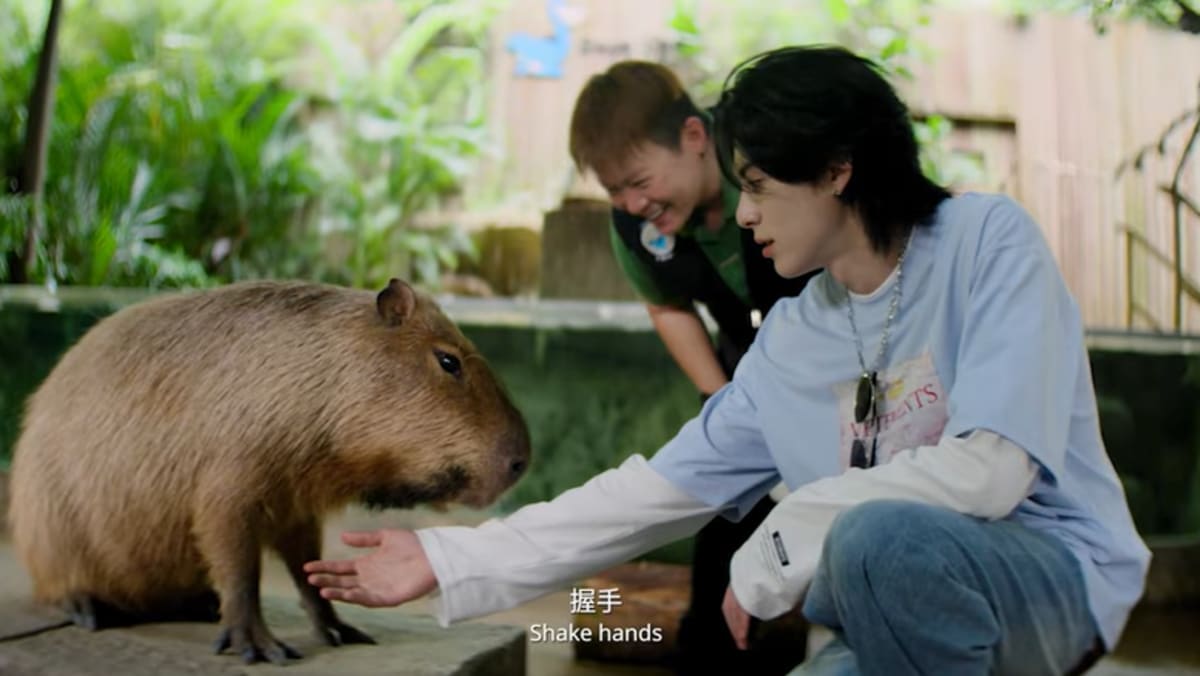 Dylan Wang fronts STB video series showcasing Singapore’s culture, food and wildlife