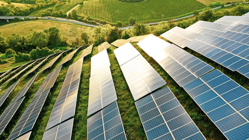 With sustainable investing on the rise, experts warn of greenwashing risks With sustainable investing on the rise, experts warn of greenwashing risks