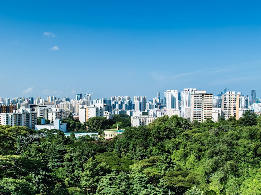 Is there a trade-off between economic progress and going green? Singapore offers some clues