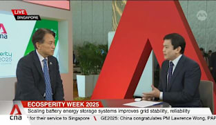 Philanthropy speeds up Asia’s clean energy future: GEAPP CEO