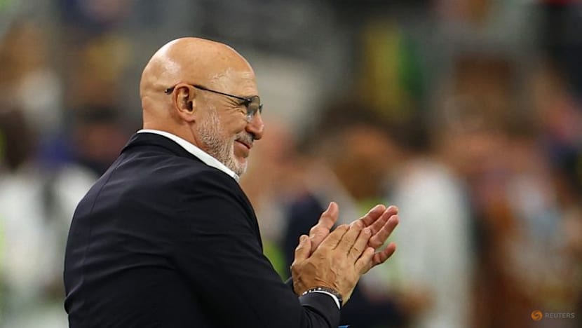De la Fuente says Spain have recaptured 2010 spirit after France masterclass